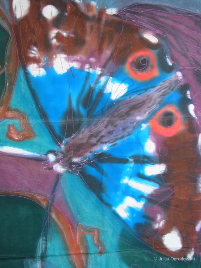 Schmetterling Apatura iris