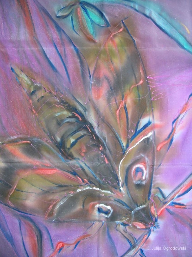 Schmetterling Daphnis nerii